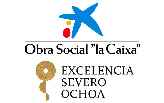 La Caixa-Severo Ochoa Fellowships