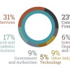 Chart shows distribution of placements by industry. Text version in article.